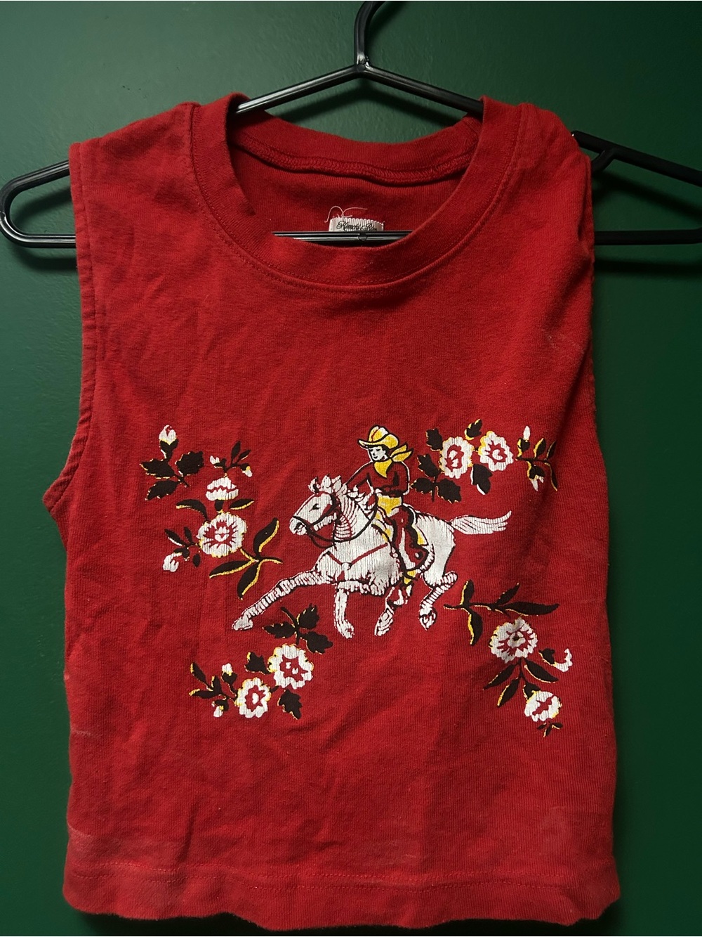 Kimchi Blue Red Sleeveless Crop Top with Horse & Floral Graphic